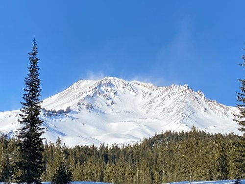 Snow-covered mountain peak with a clear blue sky, surrounded by evergreen trees.