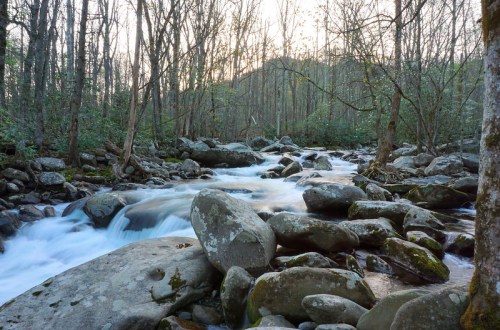 A serene river flows over smooth rocks, surrounded by trees in a tranquil forest setting at dusk.