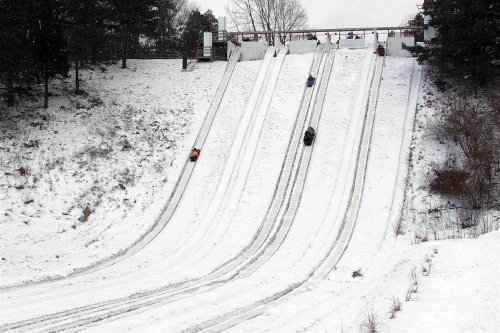 People sledding down snowy hills at a winter park, with trees and a cloudy sky in the background.