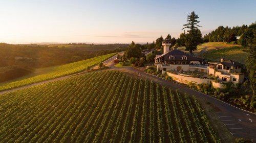 Aerial view of a vineyard estate at sunset, surrounded by lush green hills and rows of grapevines.