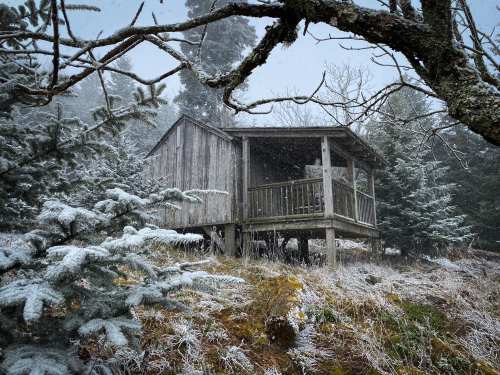 A rustic wooden cabin on stilts surrounded by snow-covered trees in a winter landscape.