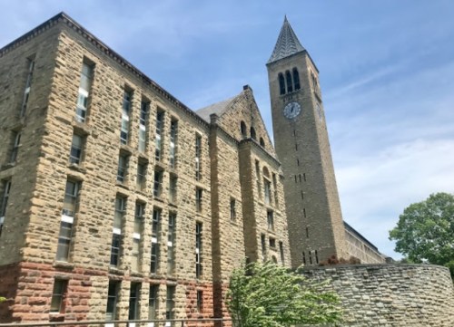 Historic stone building with a tall clock tower under a blue sky, surrounded by greenery.