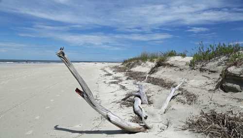 A sandy beach with driftwood, dunes, and sparse vegetation under a blue sky with scattered clouds.