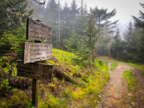 A wooden trail sign with distance markers in a misty forest, next to a winding dirt path.