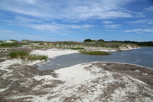 A serene landscape featuring a sandy shore, gentle water flow, and lush greenery under a blue sky with scattered clouds.