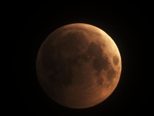 A close-up view of a partially eclipsed moon, glowing in shades of orange against a dark sky.