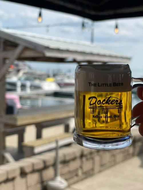 A hand holding a glass of beer with "The Little Beer" and "Dockers" printed on it, with a marina in the background.