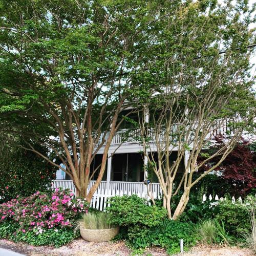 A charming house surrounded by lush greenery and colorful flowers, featuring a white porch and trees in the foreground.