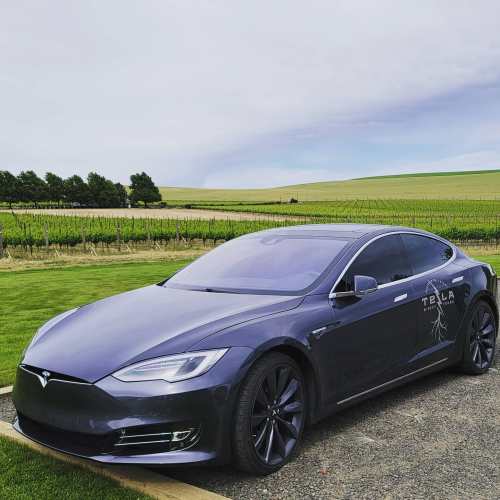 A Tesla Model S parked near vineyards under a cloudy sky, showcasing its sleek design and modern features.