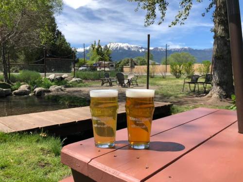 Two glasses of beer sit on a wooden table, with a scenic view of mountains and greenery in the background.
