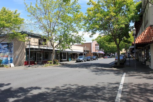 A quiet street lined with shops and trees, under a clear blue sky, creating a peaceful small-town atmosphere.