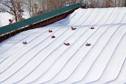 A snowy hill with multiple people sledding down in colorful tubes, surrounded by trees and a covered structure above.