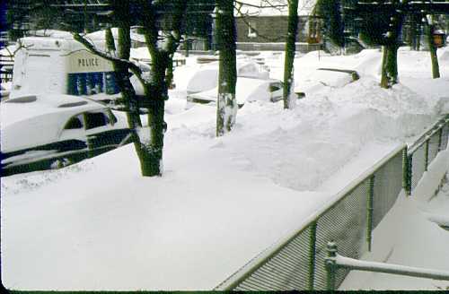 A snowy scene with parked cars buried in snow, a police vehicle visible, and trees lining a snow-covered street.