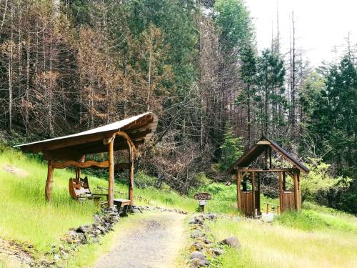A rustic wooden shelter and gazebo surrounded by lush green grass and trees in a serene outdoor setting.