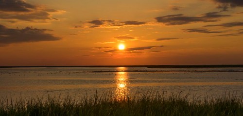 A serene sunset over a calm water body, with golden hues reflecting on the surface and grass in the foreground.