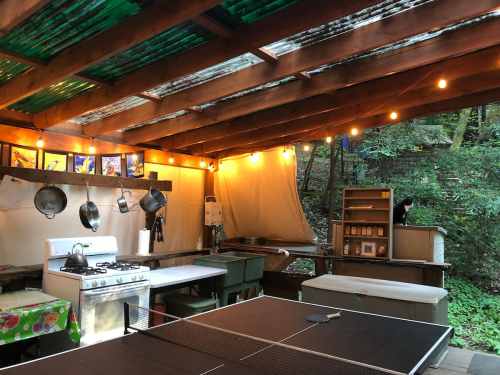 A rustic outdoor kitchen with a ping pong table, hanging lights, and a cat perched on a shelf in a wooded setting.