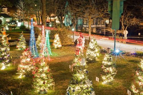 Colorful Christmas trees adorned with lights in a festive outdoor display at night.