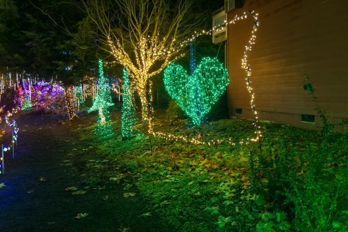 A pathway lined with colorful holiday lights, featuring a green heart shape and illuminated trees among fallen leaves.