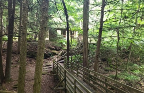 A wooden walkway winds through a lush forest, leading to a cabin nestled among the trees.