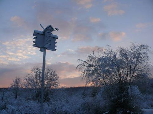 A snowy landscape at dusk with a birdhouse on a pole and bare trees against a colorful sky.