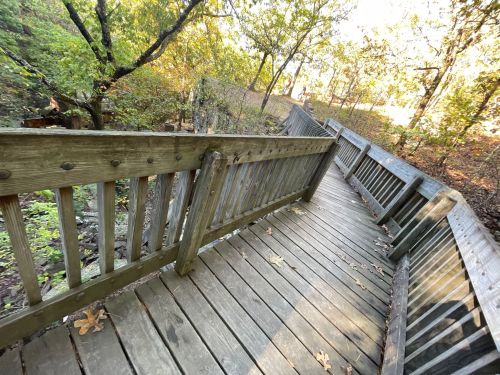 A wooden walkway winding through a wooded area, surrounded by trees and fallen leaves.