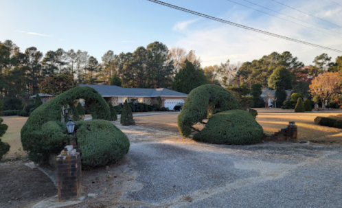 A landscaped yard featuring uniquely shaped bushes and a gravel driveway, with trees in the background.