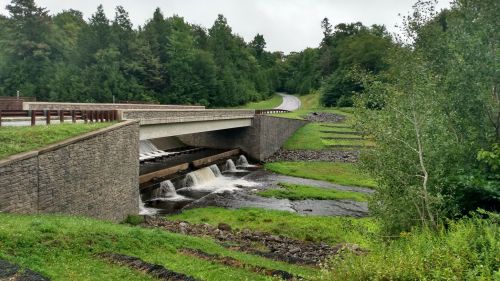 A concrete bridge spans a stream, with water flowing over a dam and lush greenery surrounding the area.