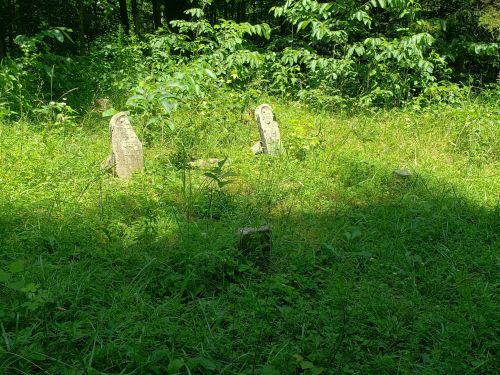 Overgrown cemetery with weathered gravestones surrounded by lush green vegetation and dappled sunlight.
