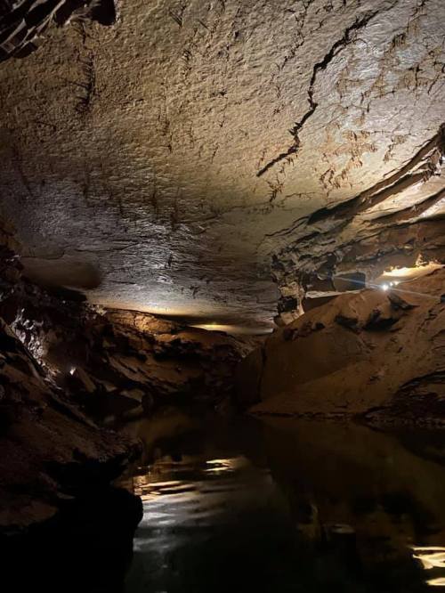 A dimly lit cave interior with a reflective water surface and textured rock formations above.
