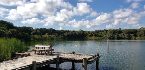 A wooden dock extends over a calm lake surrounded by lush greenery and a blue sky with fluffy clouds.