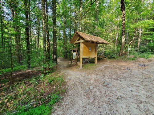 A small, rustic shelter stands at a forest path, surrounded by lush green trees and a gravel trail.