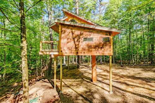 A wooden treehouse elevated on stilts, surrounded by lush green trees in a forested area.