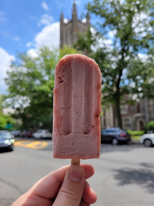 A hand holds a pink popsicle in front of a tree-lined street and a tall building in the background.