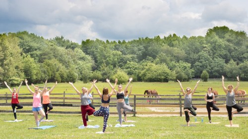 A group of people practicing yoga outdoors on a grassy field, with horses grazing in the background.