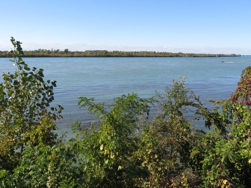 A serene view of a river bordered by lush greenery under a clear blue sky.