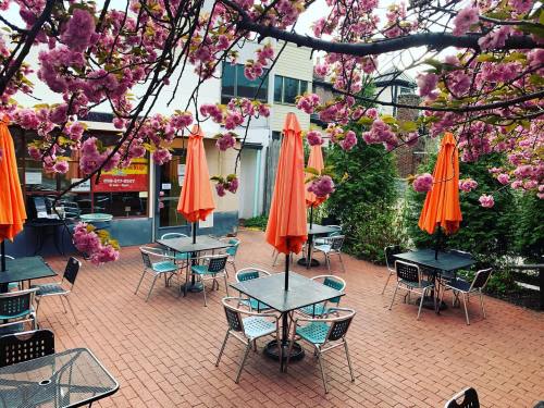 Outdoor patio with tables and chairs, surrounded by blooming cherry blossom trees and orange umbrellas.