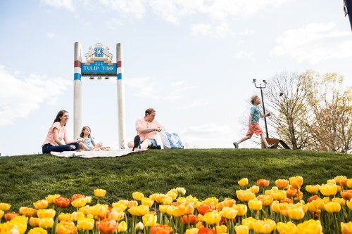 A family enjoys a picnic on a grassy hill with colorful tulips, while a child walks by in the background.