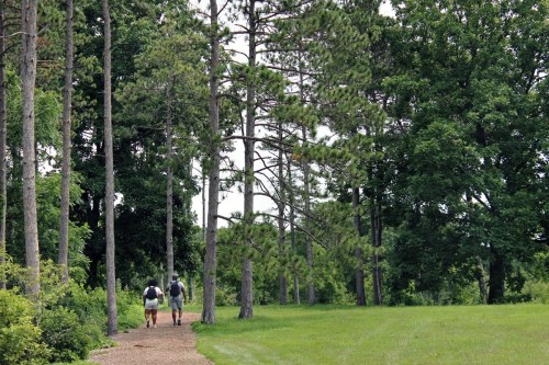 Two people walk along a dirt path through a lush green forest with tall trees on either side.