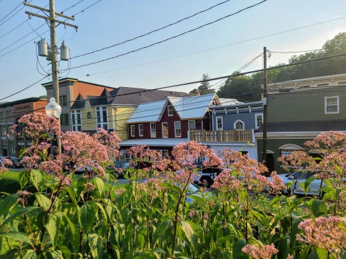 A view of colorful houses with a flower-filled foreground, under a clear sky and power lines in the background.
