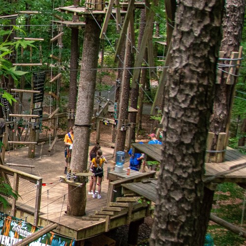 A treetop adventure park with wooden platforms, ropes, and people navigating the course among trees.