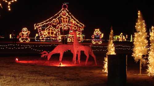 Colorful holiday lights illuminate a festive scene with a gingerbread house, reindeer, and decorated trees at night.