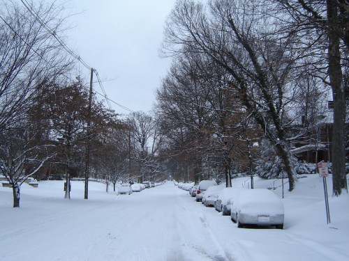 A snowy street lined with trees and parked cars, blanketed in fresh snow under a gray sky.