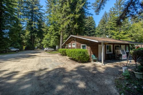 A rustic cabin surrounded by tall trees, with a gravel road and parked cars nearby. Bright blue sky overhead.