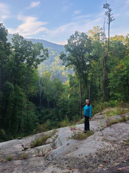 A person stands on a rocky outcrop surrounded by lush green trees and mountains under a clear blue sky.