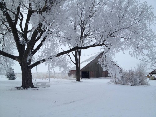 A snowy landscape featuring a frosted tree, a swing, and a rustic barn in the background.