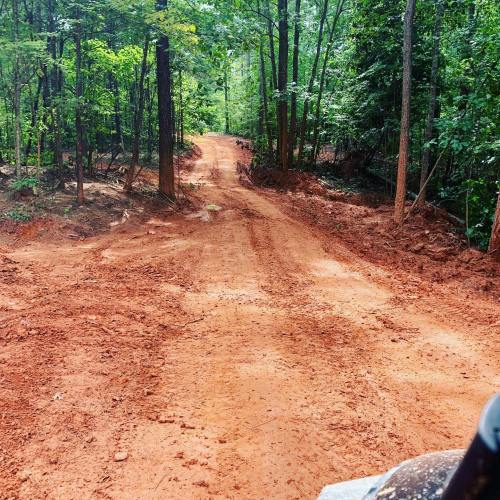 A dirt path winding through a forested area, surrounded by trees and red soil.