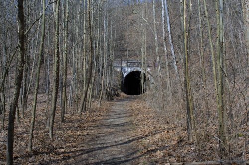 A narrow path leads through bare trees to a dark tunnel entrance in a wooded area.