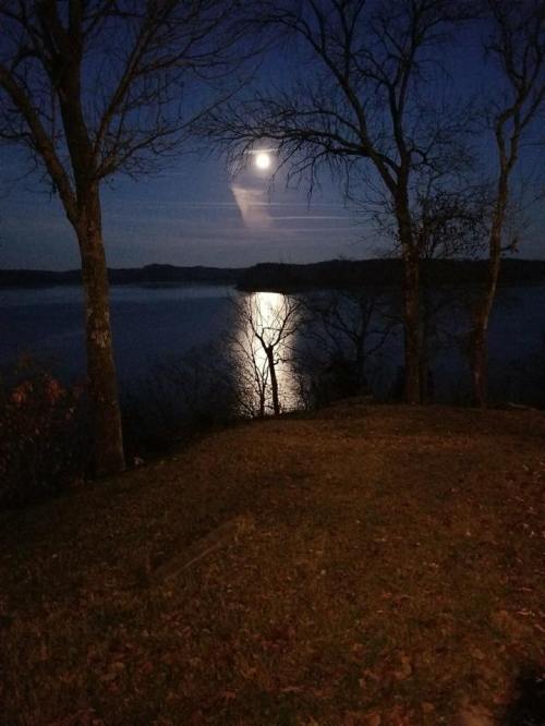 A serene night scene with a full moon reflecting on a calm lake, framed by silhouetted trees.