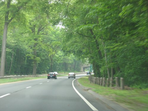 A winding road surrounded by lush green trees, with two cars driving and a speed limit sign visible.