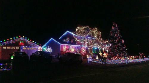 A brightly lit house decorated with colorful Christmas lights, featuring a large tree and festive decorations in the yard.